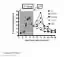 Fig. 34 - COMPOSITIONS AND METHODS FOR REGULATING ERYTHROPOIESIS