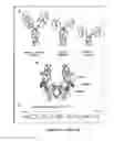 Fig. 06 - Antibodies which bind to epithelial membrane protein 2 (EMP2)