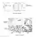 Fig. 08 - Antibodies which bind to epithelial membrane protein 2 (EMP2)