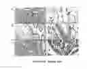 Fig. 10 - Antibodies which bind to epithelial membrane protein 2 (EMP2)