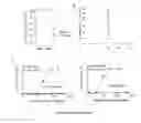 Fig. 13 - Antibodies which bind to epithelial membrane protein 2 (EMP2)