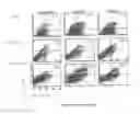 Fig. 16 - Antibodies which bind to epithelial membrane protein 2 (EMP2)