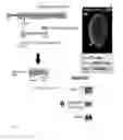 Fig. 02 - IDENTIFICATION AND USE OF NEW TUMOR-PROMOTING GENE IN HEMATOLOGICAL MALIGNANCIES