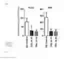 Fig. 10 - IDENTIFICATION AND USE OF NEW TUMOR-PROMOTING GENE IN HEMATOLOGICAL MALIGNANCIES