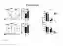 Fig. 15 - IDENTIFICATION AND USE OF NEW TUMOR-PROMOTING GENE IN HEMATOLOGICAL MALIGNANCIES