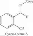 Fig. 09 - Polymers functionalized with protected oxime compounds containing a cyano group
