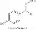 Fig. 10 - Polymers functionalized with protected oxime compounds containing a cyano group