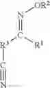 Fig. 13 - Polymers functionalized with protected oxime compounds containing a cyano group