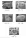 Fig. 02 - Filled polymeric materials with modified filler particles