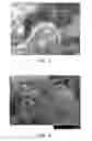 Fig. 07 - Filled polymeric materials with modified filler particles