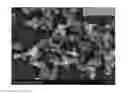 Fig. 02 - Water-repellant transparent coating-substrate assembly and process for producing the same
