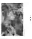 Fig. 06 - Fluoride-based luminescent phosphors