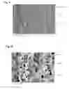 Fig. 06 - Strongly scattering ceramic converter and method for producing same