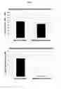 Fig. 02 - Culture method for stable proliferation of pluripotent stem cell while maintaining undifferentiated state