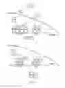 Fig. 10 - MiRNA modulators of thermogenesis