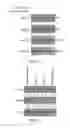 Fig. 09 - COMPOSITION FOR TREATING EPSTEIN-BARR VIRUS INFECTION, COMPRISING EPSTEIN-BARR VIRUS MICRO RNA INHIBITOR