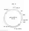 Fig. 04 - MICROORGANISM HAVING ENHANCED PRODUCTIVITY OF SUCCINATE AND METHOD OF PRODUCING SUCCINATE USING THE SAME