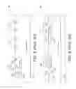 Fig. 04 - METHODS AND APPARATUS FOR MEASURING ANALYTES USING LARGE SCALE FET ARRAYS