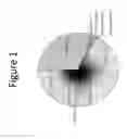 Fig. 02 - Compositions and methods for classifying thyroid nodule disease