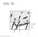 Fig. 03 - Galvannealed steel sheet and method of manufacturing the same