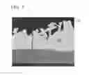 Fig. 06 - Galvannealed steel sheet and method of manufacturing the same