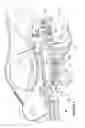Fig. 03 - A COUPLER