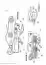 Fig. 06 - A COUPLER