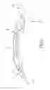 Fig. 10 - Multifunctional filler tool
