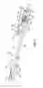 Fig. 03 - Latch mechanism