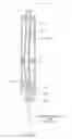 Fig. 06 - Directional casing-while-drilling