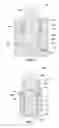 Fig. 04 - EARTH-BORING TOOLS INCLUDING BEARING ELEMENT ASSEMBLIES, AND RELATED METHODS
