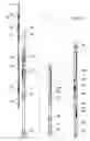 Fig. 15 - Remotely operated stage cementing methods for liner drilling installations