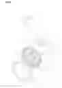 Fig. 04 - Vacuum suction cup having bowl-shaped framework