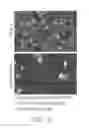 Fig. 03 - Analysis of action potentials, transients, and ion flux in excitable cells