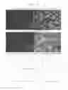 Fig. 15 - Analysis of action potentials, transients, and ion flux in excitable cells