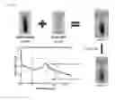 Fig. 09 - COLORMETRIC SENSOR DETECTING ANALYTES WITH VISUAL EXAMINATION