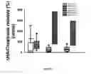 Fig. 06 - Urinary biomarkers for predicting long-term dialysis