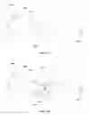 Fig. 04 - Method and apparatus for controlling focal vergence of optical content