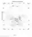 Fig. 30 - MULTIFOCAL OPHTHALMIC LENS