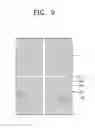 Fig. 08 - Method of manufacturing transparent display device using pre-tilted liquid crystal molecules