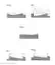 Fig. 04 - AUTO STEREOSCOPIC PROJECTOR SCREEN