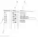 Fig. 01 - METHOD FOR THE SECURE AND INTENTIONAL ACTIVATION OF FUNCTIONS AND/OR MOVEMENTS OF CONTROLLABLE INDUSTRIAL EQUIPMENT