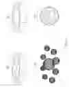 Fig. 09 - Three-dimensional space for navigating objects connected in hierarchy