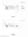 Fig. 07 - PRESENTING STORED FILES IN WHITEBOARD APPLICATION