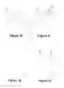 Fig. 02 - Methods and Systems for Generating and Editing Polygonal Data