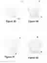 Fig. 05 - Methods and Systems for Generating and Editing Polygonal Data