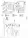 Fig. 30 - SYSTEM AND METHOD FOR ORDERING DENTAL PROSTHETICS