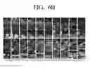 Fig. 09 - Object tracking apparatus and method thereof
