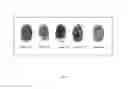Fig. 03 - Authentication via biometric passphrase