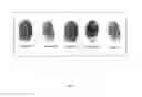 Fig. 04 - Authentication via biometric passphrase